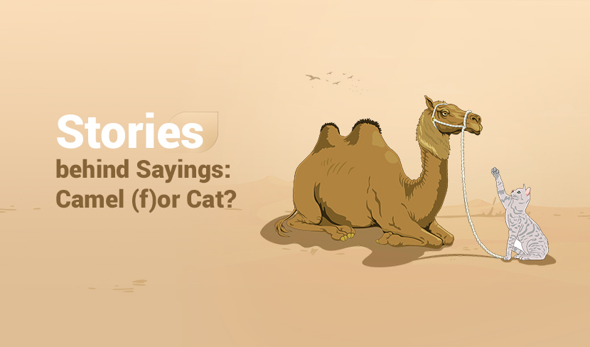 Stories behind Sayings: Camel (f)or Cat?